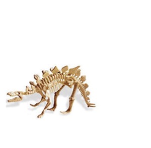 공룡화석 발굴 KIT(스테고사우르스)