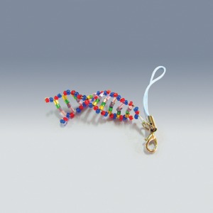DNA 고리 만들기(10인용)