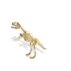 공룡화석 발굴 KIT(티라노사우르스)